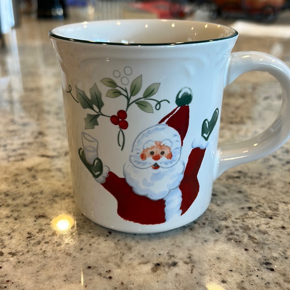 Pfaltzgraff Christmas Santa Winterberry Mug